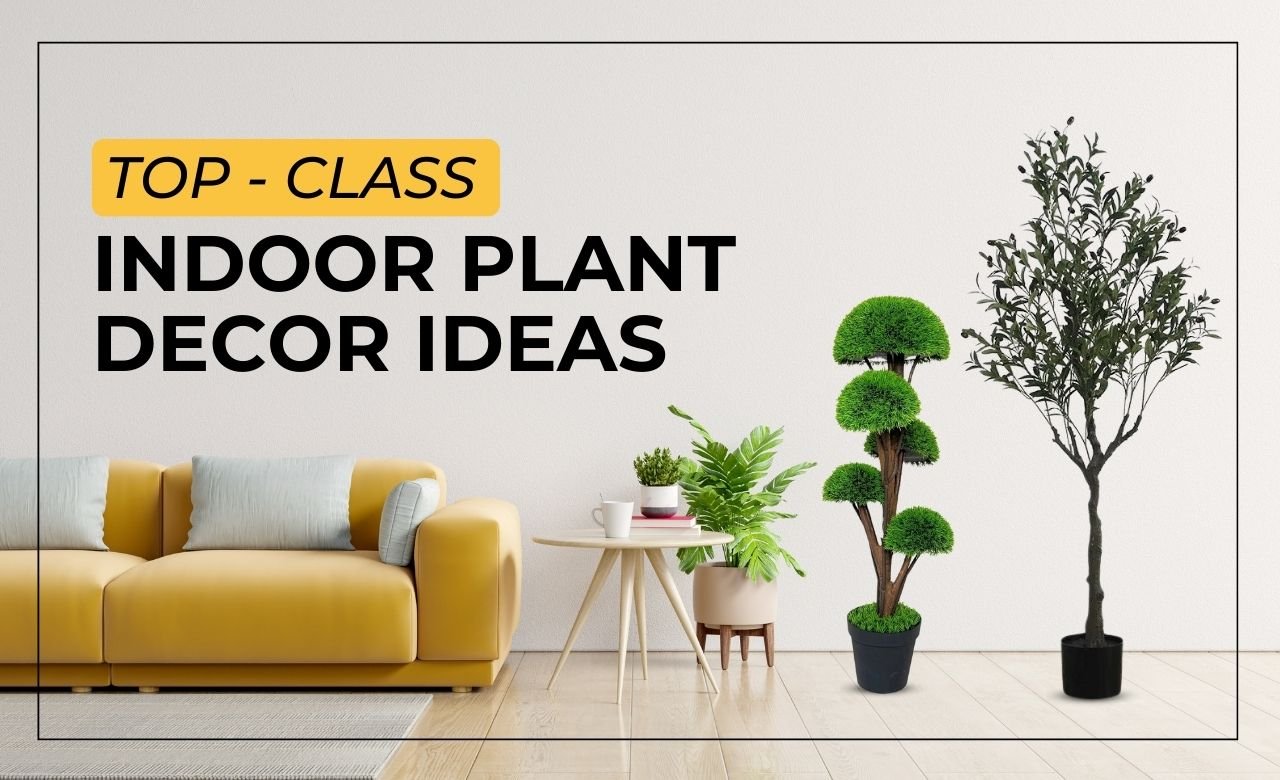 5 Top Class Indoor Plant Decor Ideas (Dubai, UAE) - SHAGHAF HOME