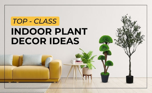 5 Top Class Indoor Plant Decor Ideas (Dubai, UAE) - SHAGHAF HOME