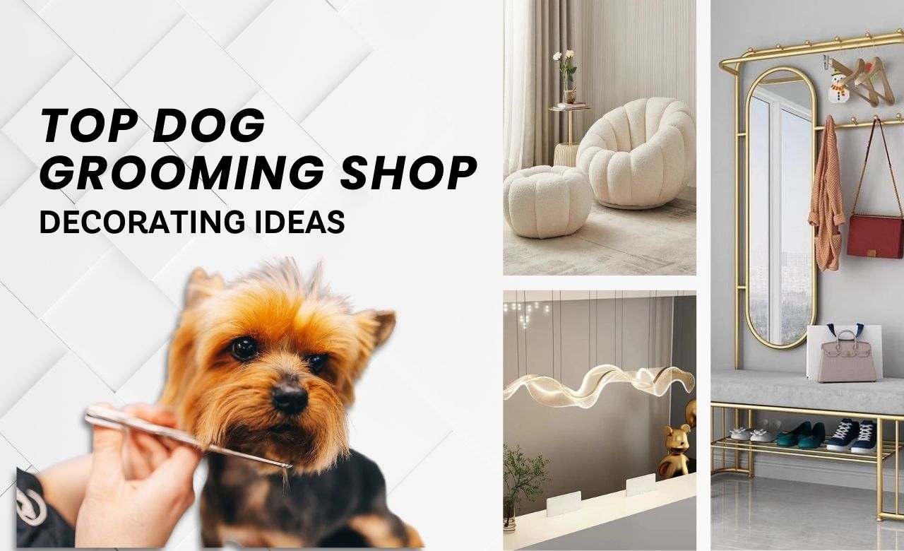 Top Dog Grooming Shop Decorating Ideas (Dubai, UAE) - SHAGHAF HOME
