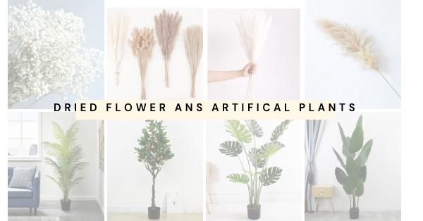 Dried Flowers and Artificial Plants - SHAGHAF HOME