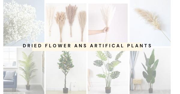 Dried Flowers and Artificial Plants