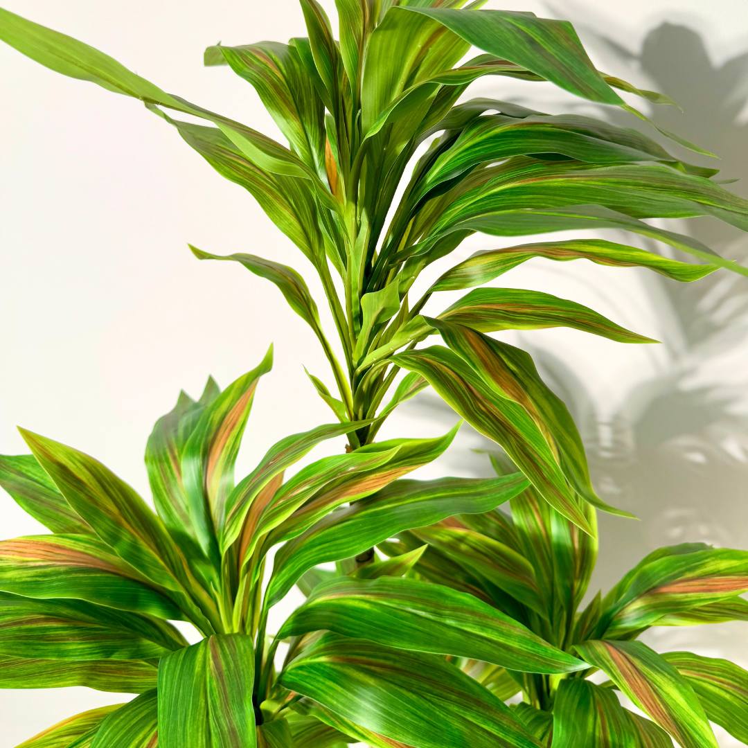 Artificial Dracaena Plant – Lush Green Foliage - SHAGHAF HOME