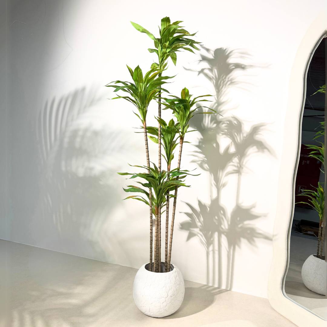 Artificial Dracaena Plant – Lush Green Foliage - SHAGHAF HOME