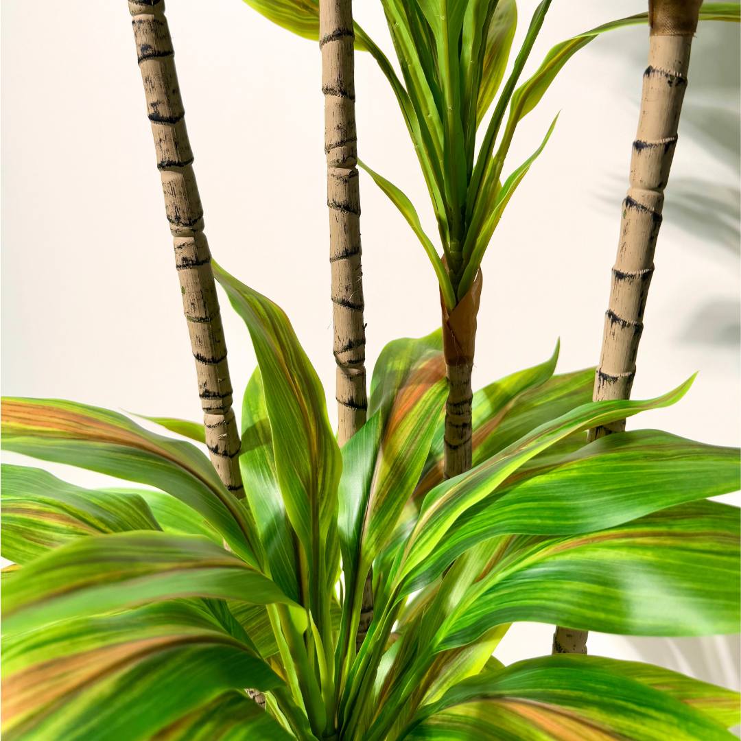 Artificial Dracaena Plant – Lush Green Foliage - SHAGHAF HOME