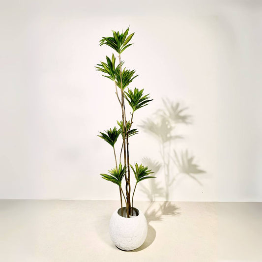 Artificial Dracaena Reflexa – Song of India Faux Plant - SHAGHAF HOME