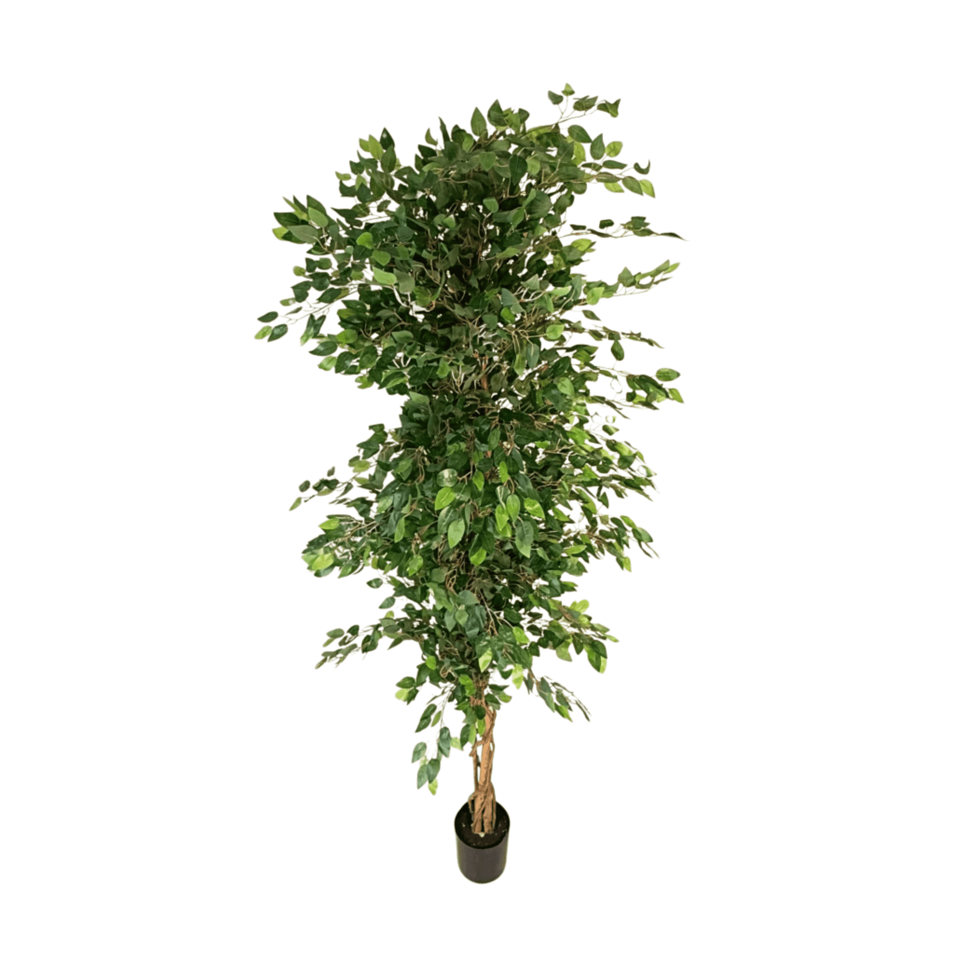 Artificial Ficus Tree – Realistic Greenery - SHAGHAF HOME