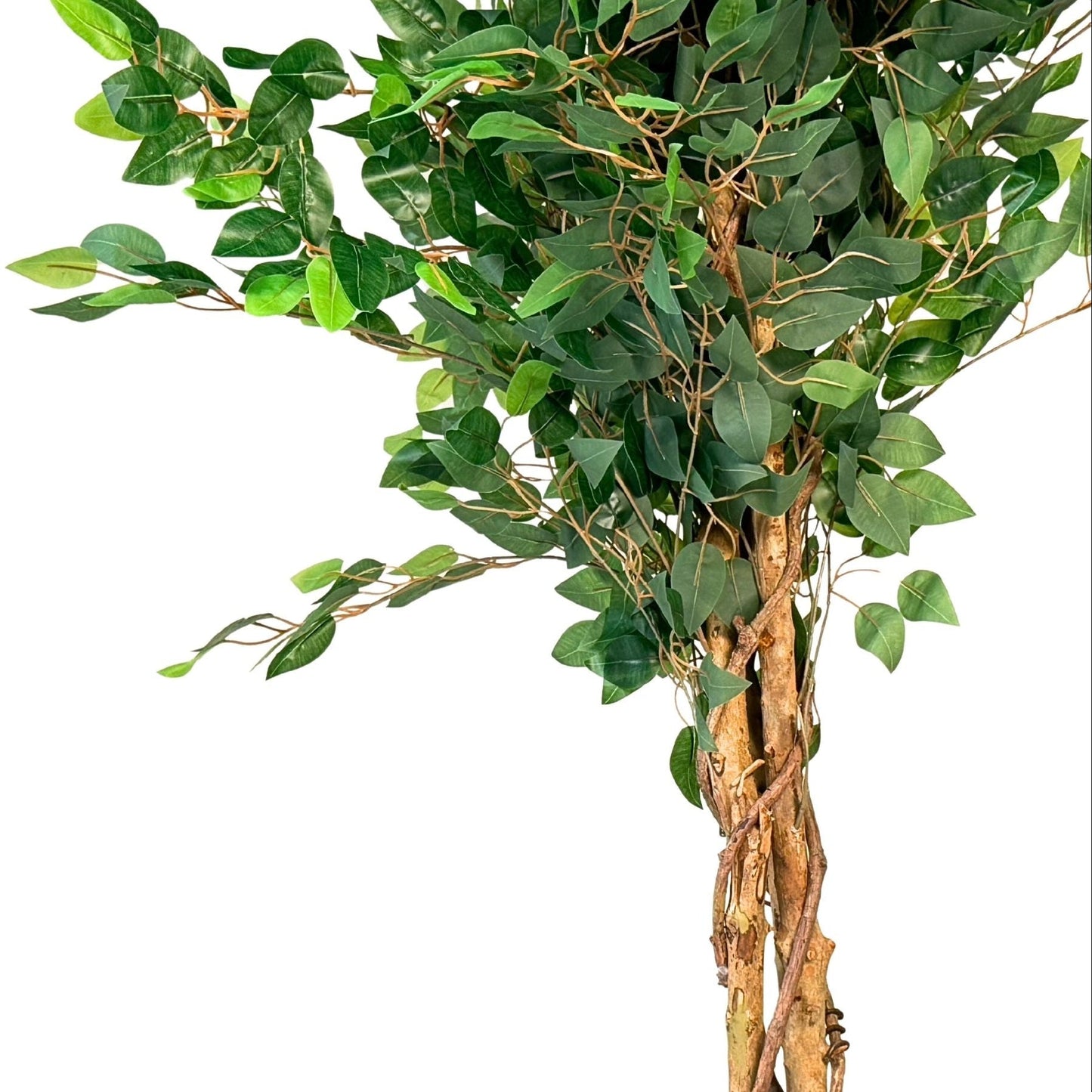 Artificial Ficus Tree – Realistic Greenery - SHAGHAF HOME