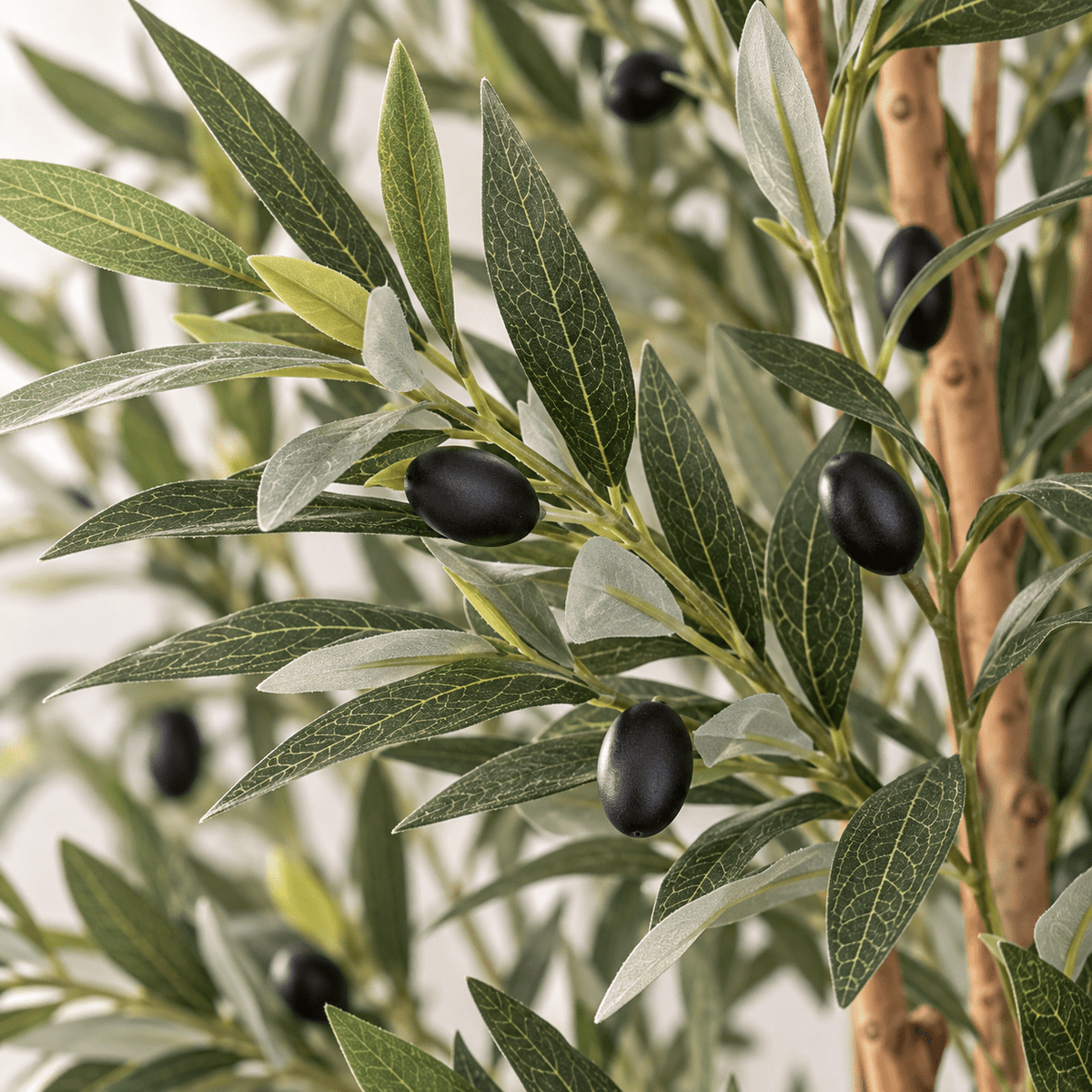 Viera Artificial Olive Tree with Planter – 240 cm - SHAGHAF HOME
