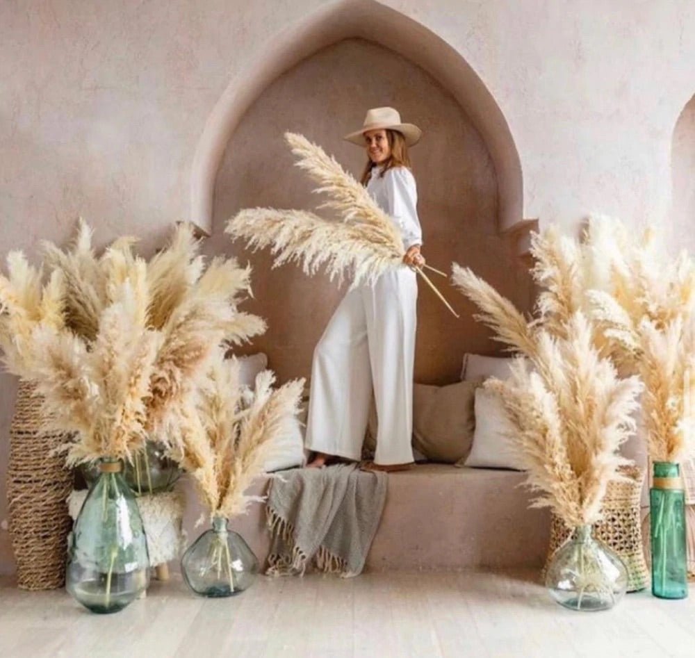 Natural Beige Dried Pampas Grass - SHAGHAF HOME